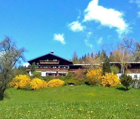 Biohof Schwanser Steinbach am Attersee Buitenkant foto