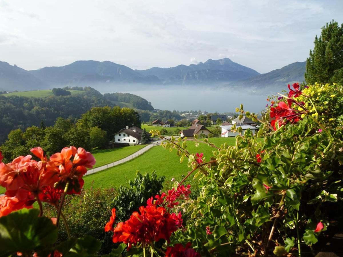 Biohof Schwanser Steinbach am Attersee Buitenkant foto