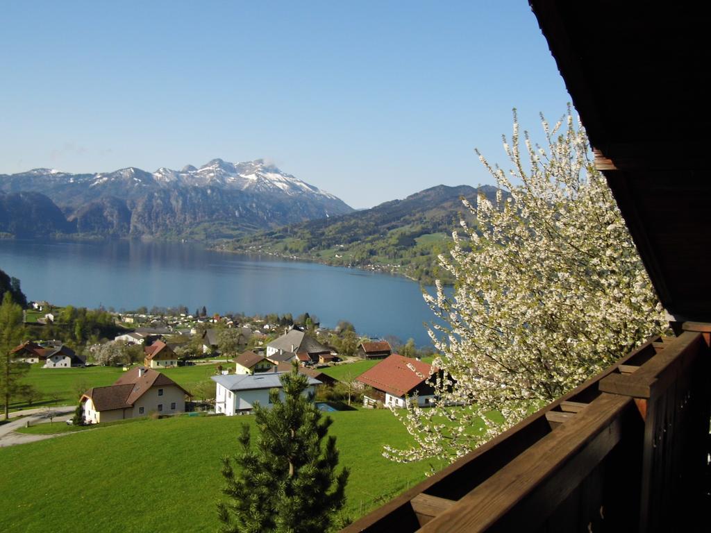 Biohof Schwanser Steinbach am Attersee Buitenkant foto