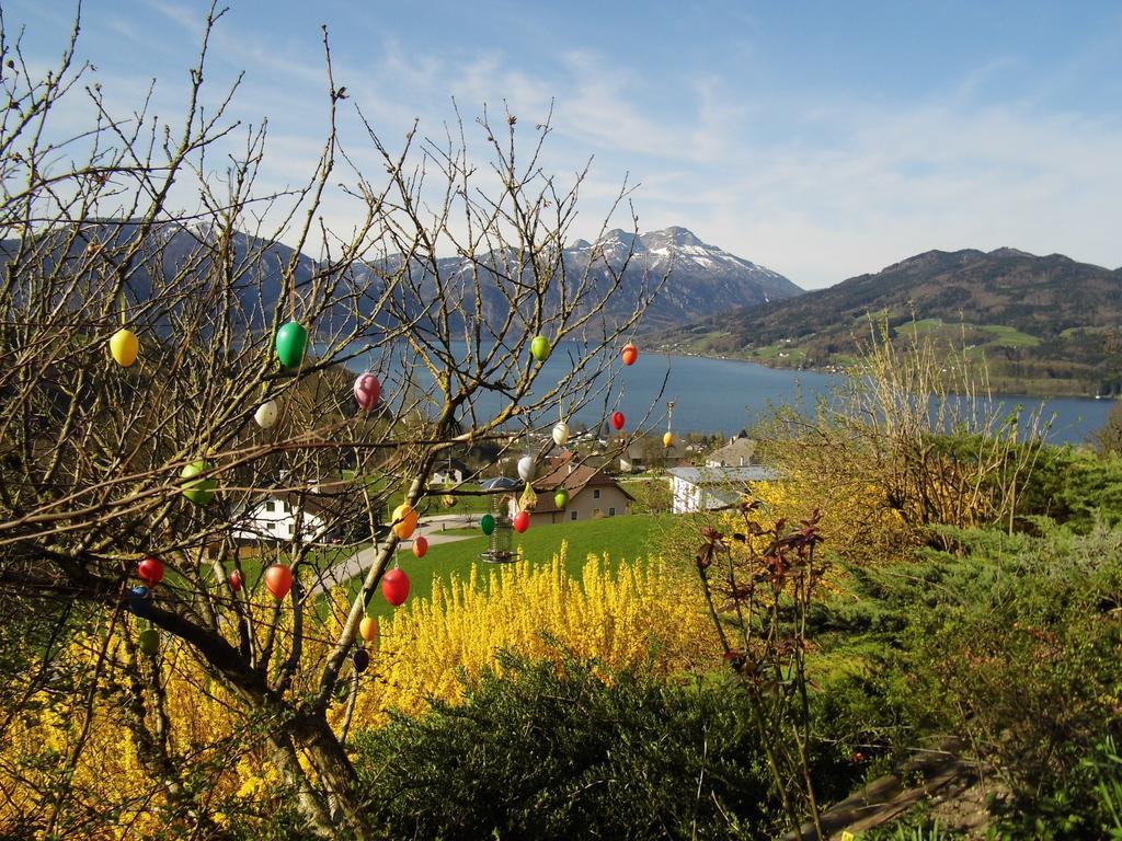 Biohof Schwanser Steinbach am Attersee Buitenkant foto