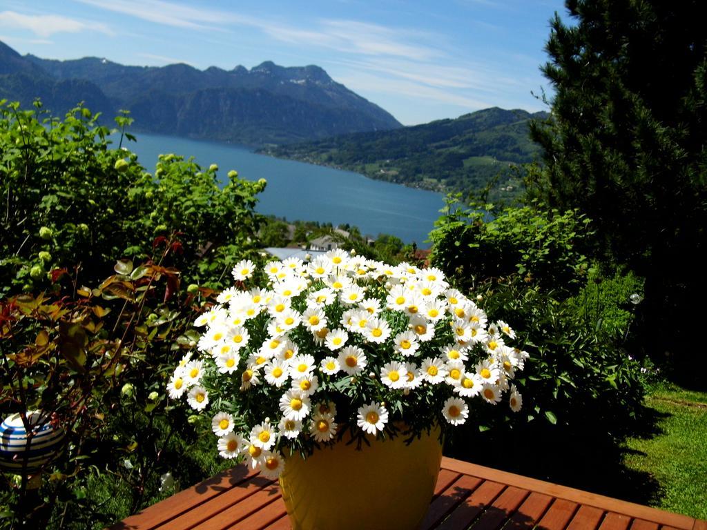 Biohof Schwanser Steinbach am Attersee Buitenkant foto