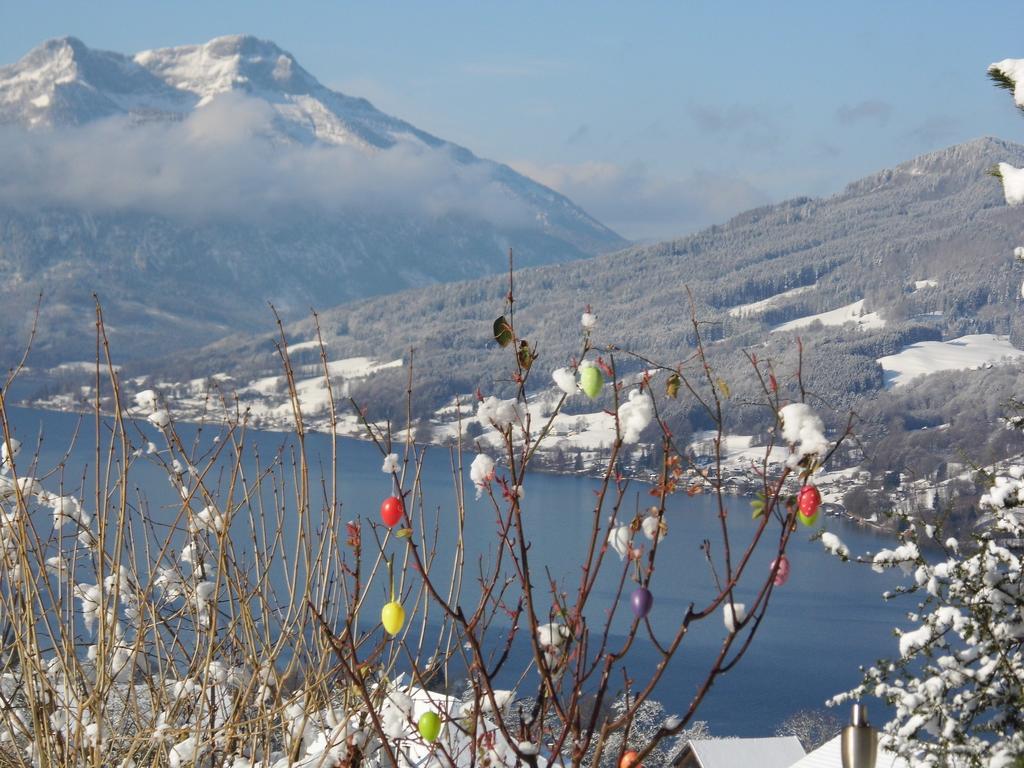 Biohof Schwanser Steinbach am Attersee Buitenkant foto