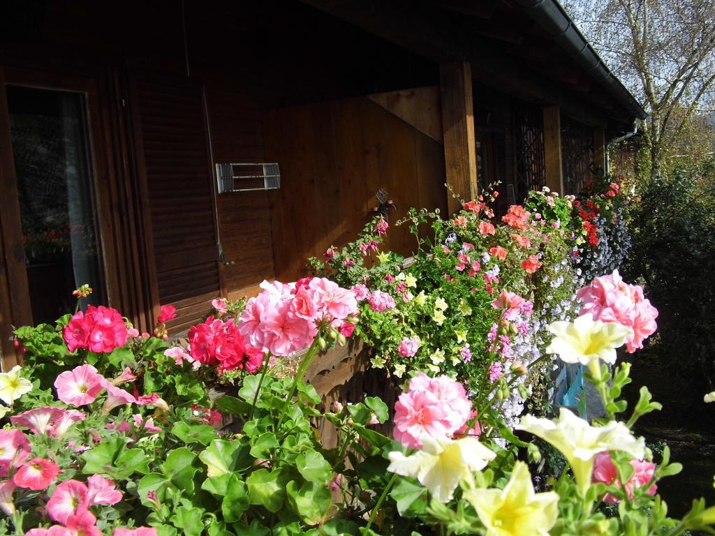 Biohof Schwanser Steinbach am Attersee Buitenkant foto