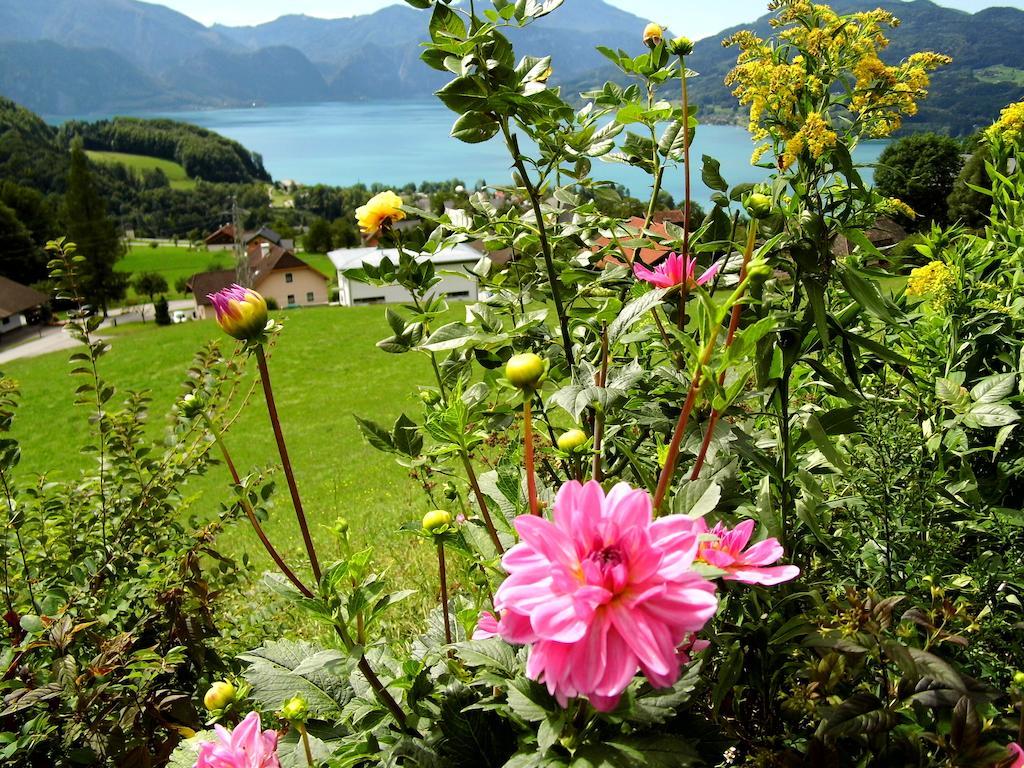 Biohof Schwanser Steinbach am Attersee Buitenkant foto