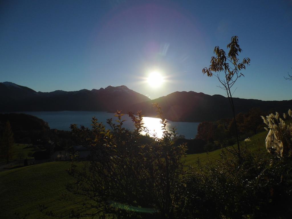 Biohof Schwanser Steinbach am Attersee Buitenkant foto
