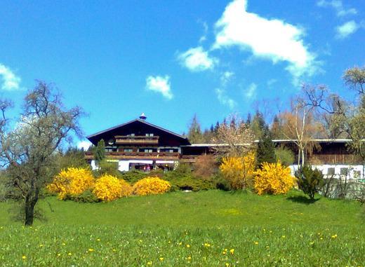 Biohof Schwanser Steinbach am Attersee Buitenkant foto
