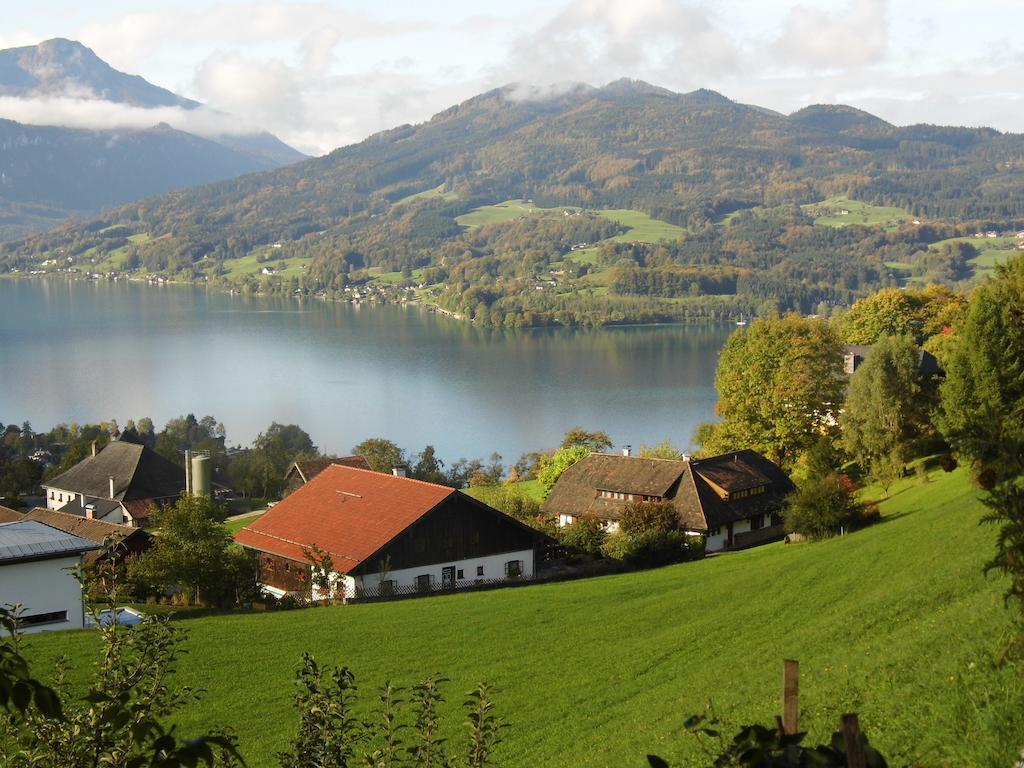 Biohof Schwanser Steinbach am Attersee Buitenkant foto