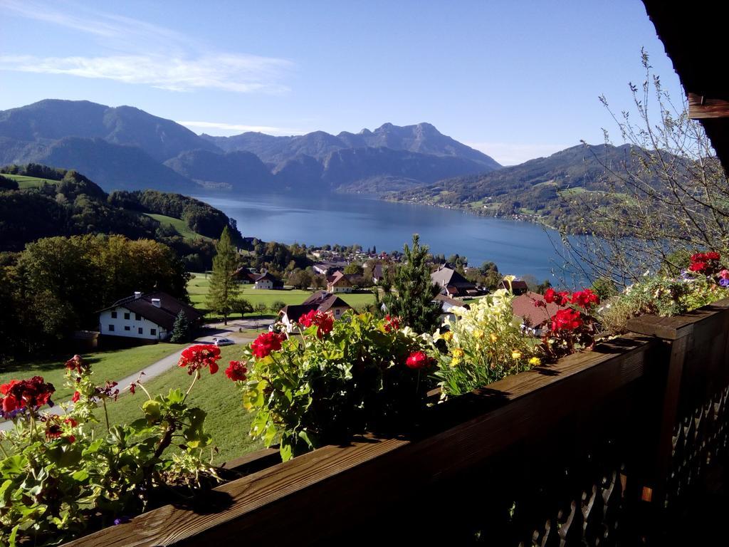 Biohof Schwanser Steinbach am Attersee Buitenkant foto