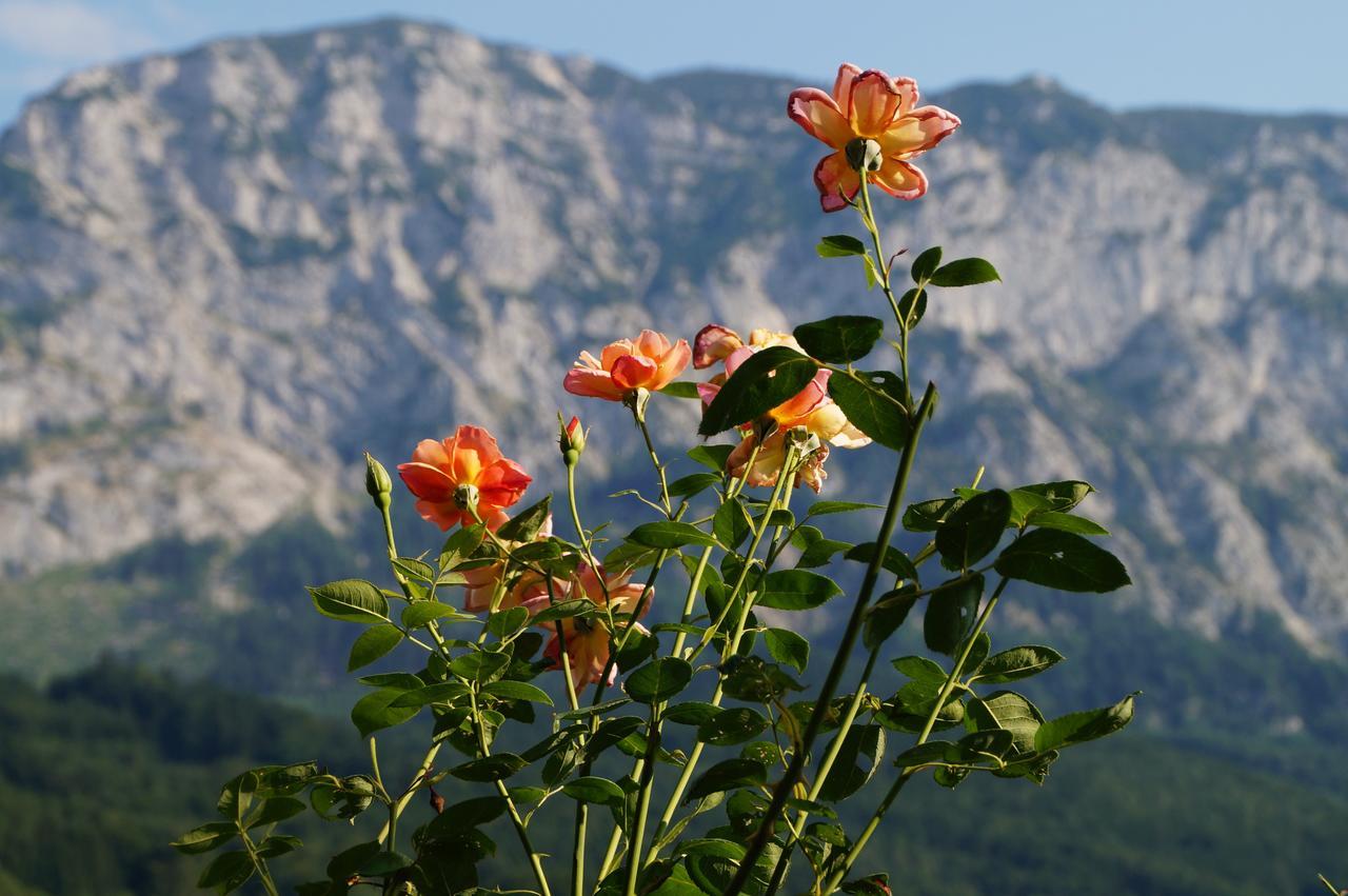 Biohof Schwanser Steinbach am Attersee Buitenkant foto