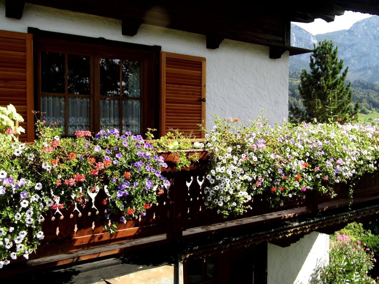 Biohof Schwanser Steinbach am Attersee Buitenkant foto