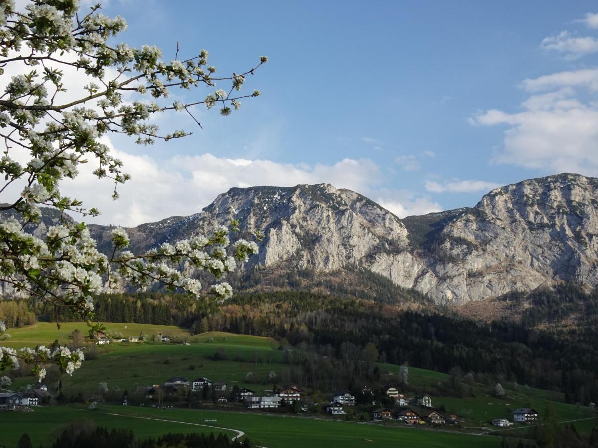 Biohof Schwanser Steinbach am Attersee Buitenkant foto